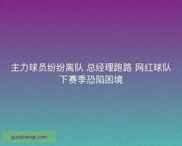 主力球员纷纷离队 总经理跑路 网红球队下赛季恐陷困境