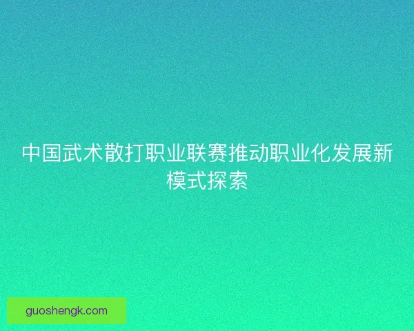 中国武术散打职业联赛推动职业化发展新模式探索